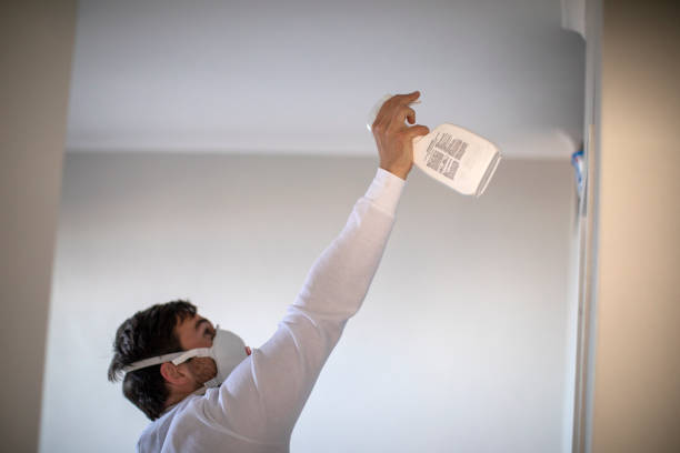 Mold Removal and Inspection in Munsons Corners, NY