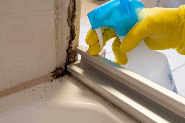 Best Residential Mold Removal  in Munsons Corners, NY