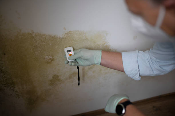 Best Mold Cleaning Services  in Munsons Corners, NY