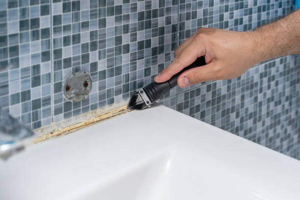 Best Certified Mold Removal  in Munsons Corners, NY