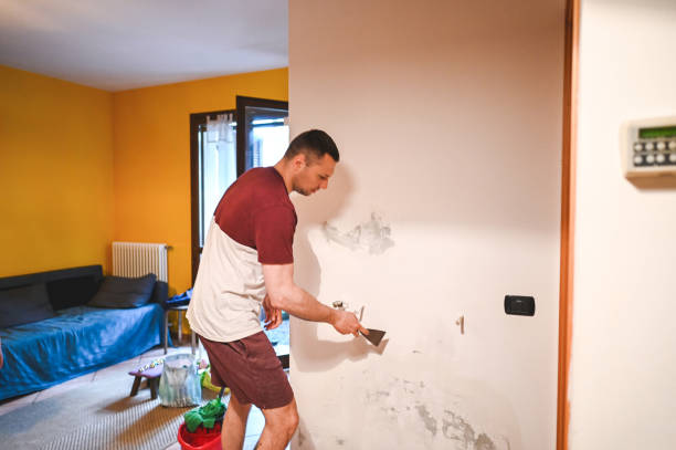 Best Mold Removal and Inspection  in Munsons Corners, NY